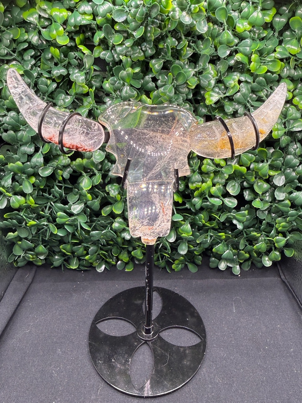 Fire Quartz & Golden Healer Bull Skull on Display Stand